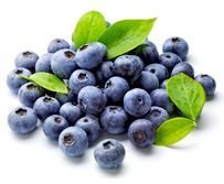 Yaban Mersini Dalından Taze 250 Gr